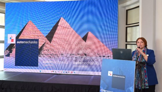 دينا شرف ممثلة هيئة معارض فرانكفورت في مصر