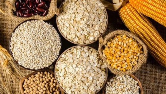 إنشاء مركز إقليمي للحبوب في مصر 