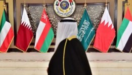 دول الخليج 