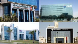 البنوك الحكومية والخاصة