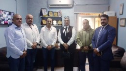 النائبة الدكتورة مروة عبد الفتاح صالح 