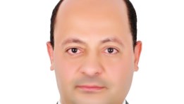  سعيد عرفة، مساعد وزير الاستثمار لشئون عقود الاستثمار