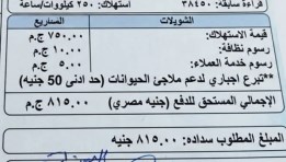فاتورة كهرباء غير حقيقية متداولة