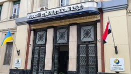 شركة الاسكندرية لتوزيع الكهرباء