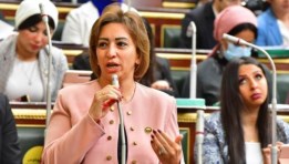 مها عبد الناصر وكيل مجلس النواب