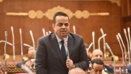 النائب عصام هلال عفيفي عضو مجلس الشيوخ