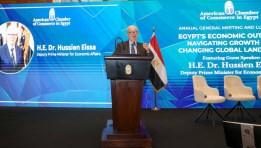 الدكتور حسين عيسي نائب رئيس مجلس الوزراء للشؤون الاقتصادية 