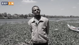 اختفاء سمك النيل في فرع رشيد