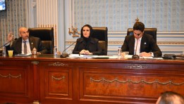 اقتصادية الشيوخ 