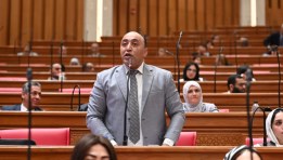 النائب أحمد حسن 