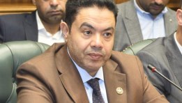 النائب إسماعيل الشرقاوي 