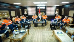 صناعة النواب 