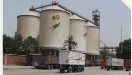  شركة مطاحن مصر العليا