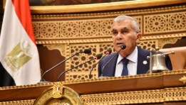 صورة للمستشارعصام فريد
