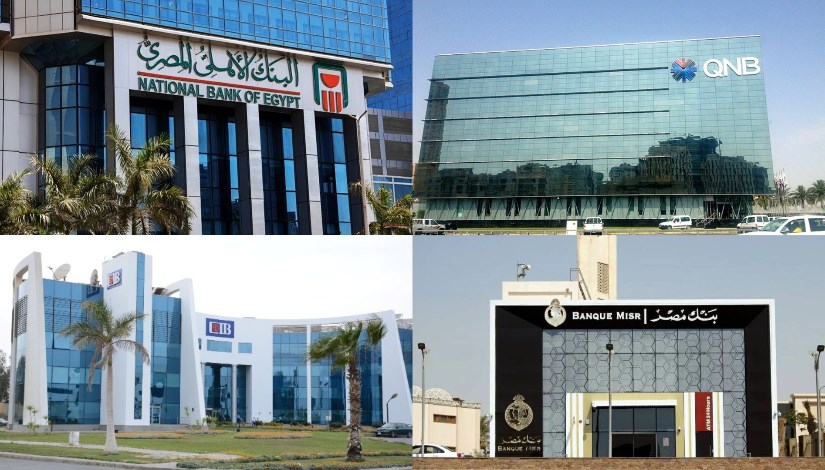 البنوك الحكومية والخاصة