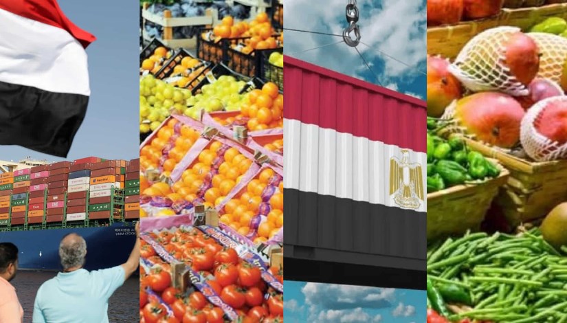 صادرات غذائية مصرية