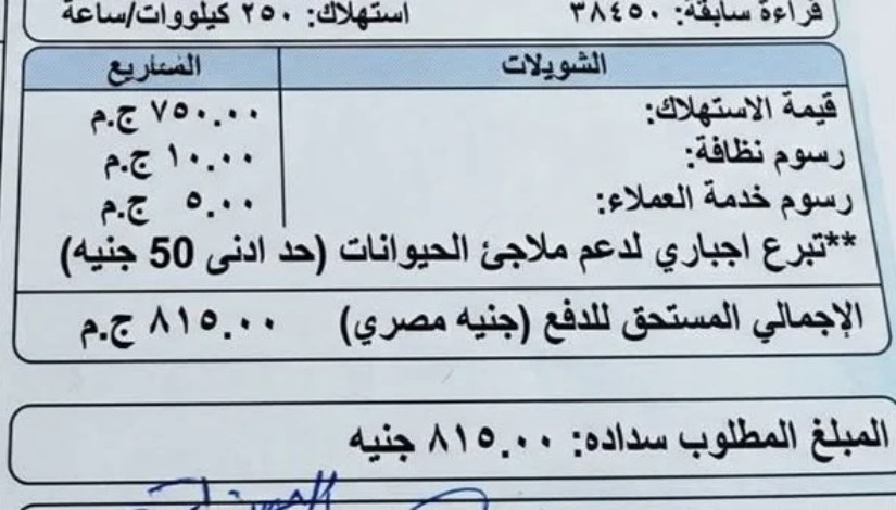 فاتورة كهرباء غير حقيقية متداولة
