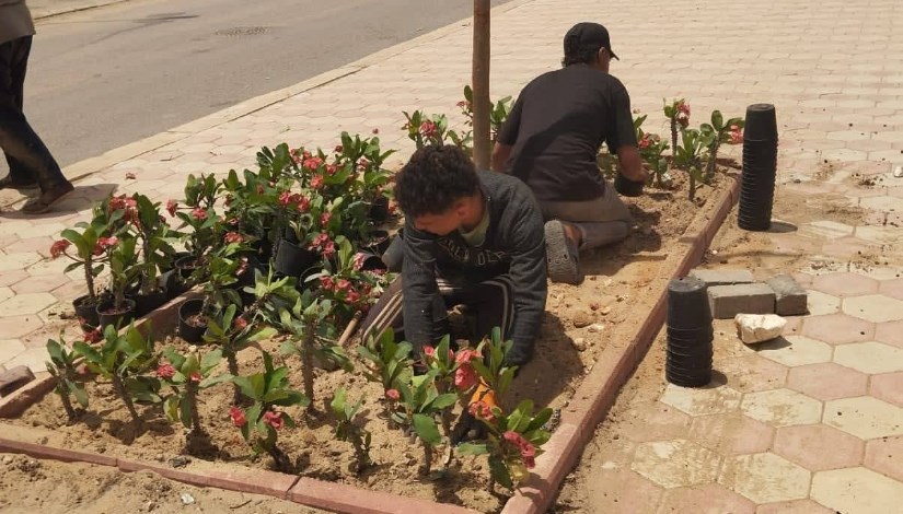 استمرار أعمال التشجير بالسادس من أكتوبر
