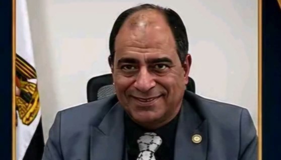 حسام جاد المولى