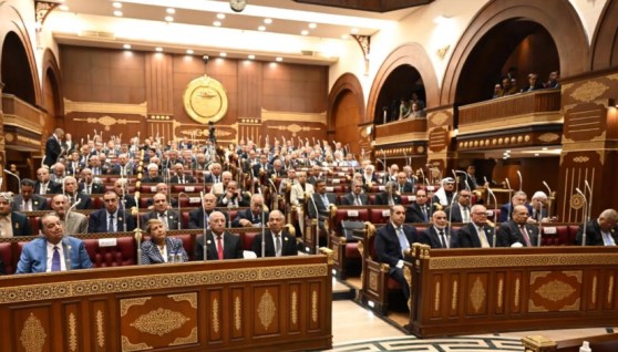 مجلس الشيوخ