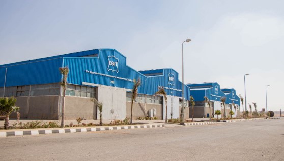 الصناعة المصرية