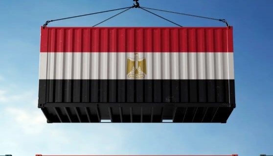 المجالس التصديرية