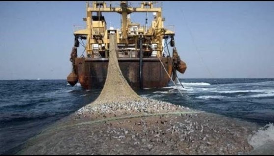 أرشيفية