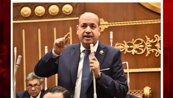  النائب أحمد سيد، عضو مجلس الشيوخ