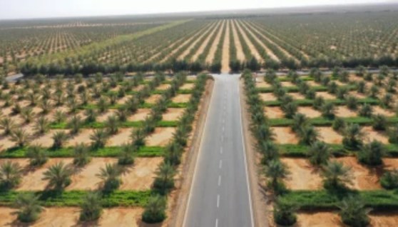 مشروع زراعي