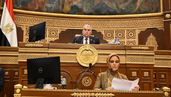مجلس الشيوخ