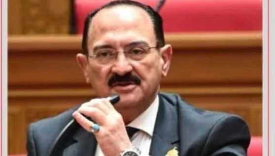النائب هشام عبد الواحد