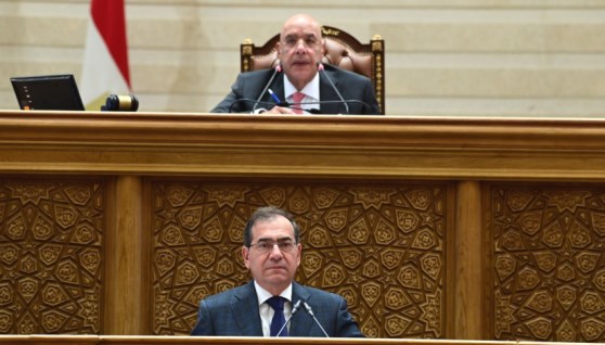 مجلس النواب