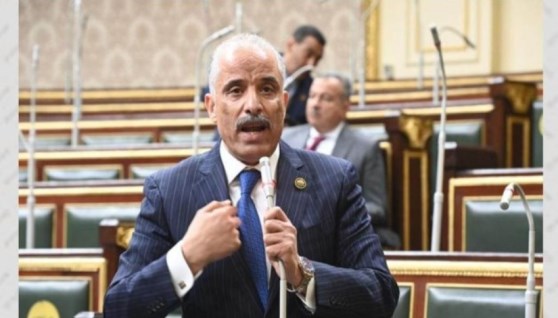 النائب عيد حماد عضو مجلس النواب