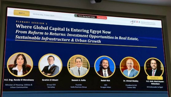 خلال مؤتمر مصر المستقبل