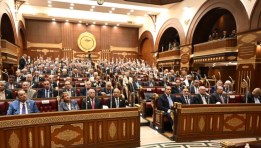 مجلس الشيوخ