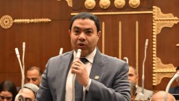  النائب إسماعيل الشرقاوي، عضو مجلس الشيوخ