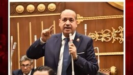  النائب أحمد سيد، عضو مجلس الشيوخ