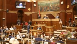 مجلس الشيوخ - أرشيفية