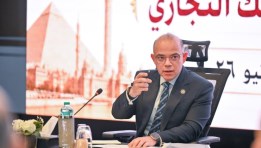 الدكتور محمد فريد - وزير الاستثمار والتجارة الخارجية