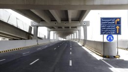 محور كمال عامر