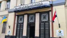  شركة الإسكندرية لتوزيع الكهرباء