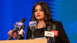 دينا عبد الفتاح
