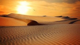 صحراء - صورة أرشيفية