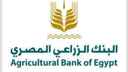 البنك المركزي المصري- أرشيفية