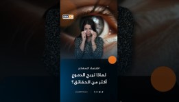 اقتصاد المشاعر 
