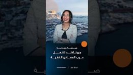 حرب المعادن النادرة 