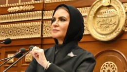 مجلس الشيوخ