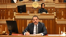 مجلس الشيوخ