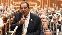 النائب حسام الخولي