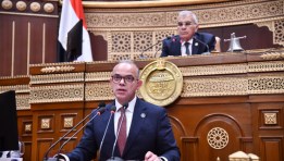 وزير الاستثمار